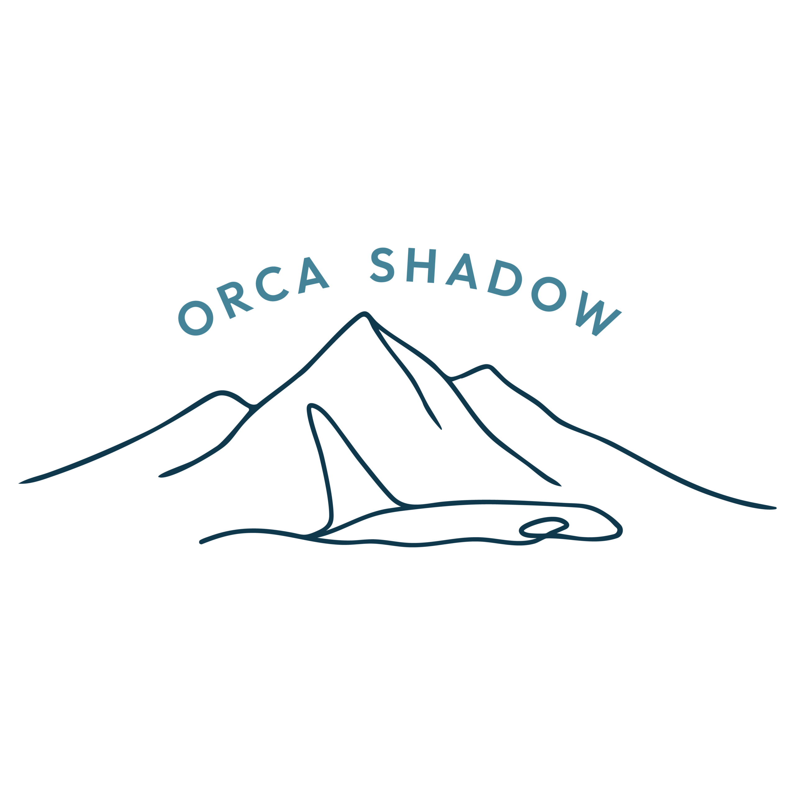 Orca Shadow